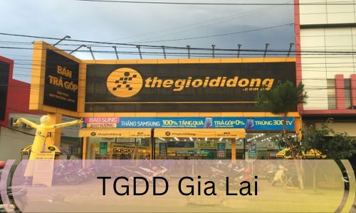 TGDD Gia Lai